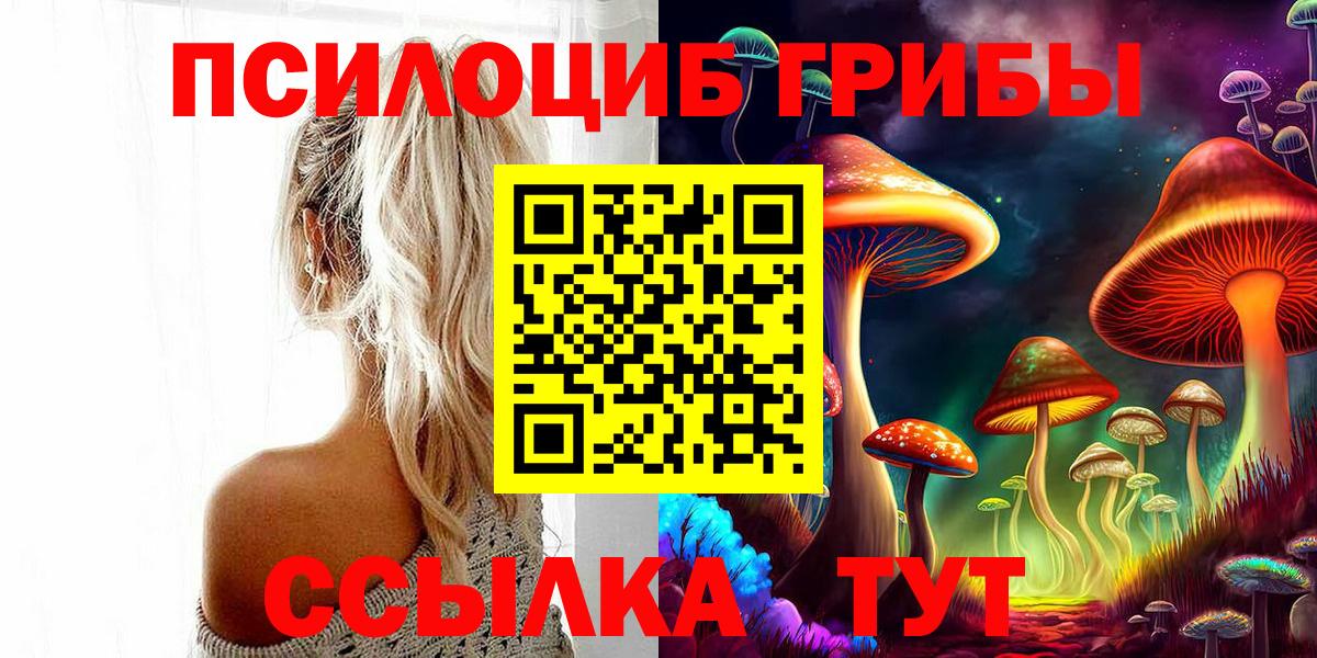 Галлюциногенные грибы Psilocybine cubensis Заволжье